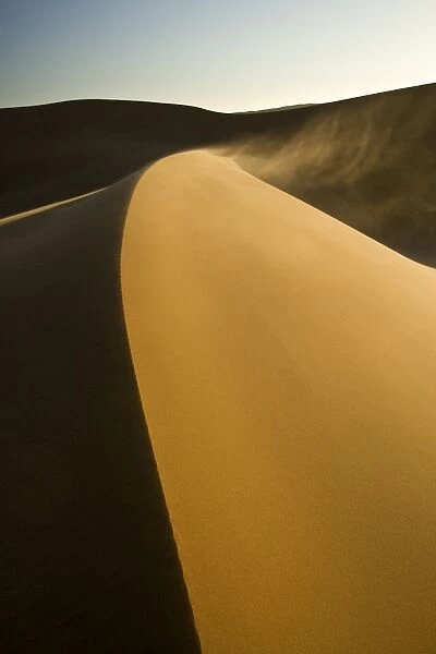 Dunes in late afternoon light - with sand blowing over the crest in a smoke stack - Dune Fields - Namib Desert - Namibia - Africa