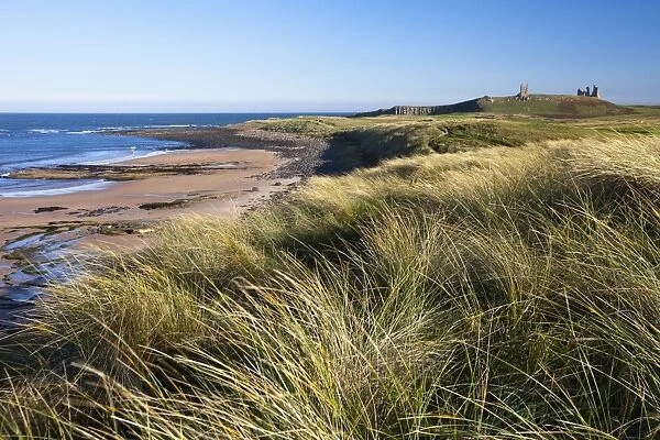 Dunstanburgh Castle - view from Embleton Bay looking south - Northumberland National Park - England