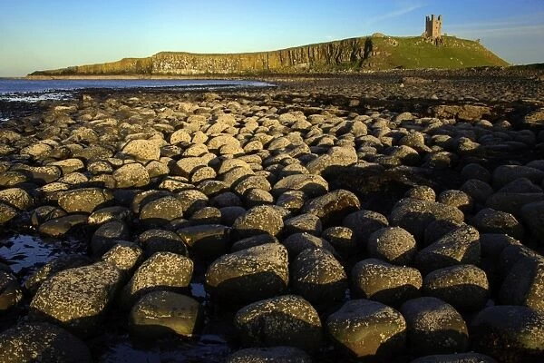Dunstanburgh Castle-view from the north of castle on whin Sill, from basalt boulder strewn beach, Northumberland UK