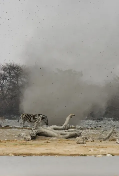 Framed Print : Dust Devil Throwing debris high in the air at Goas Waterhole Etosha National Park, Namibia, Africa Framed Print : Dust Devil Throwing debris high in the air at Goas Waterhole Etosha National Park, Namibia, Africa