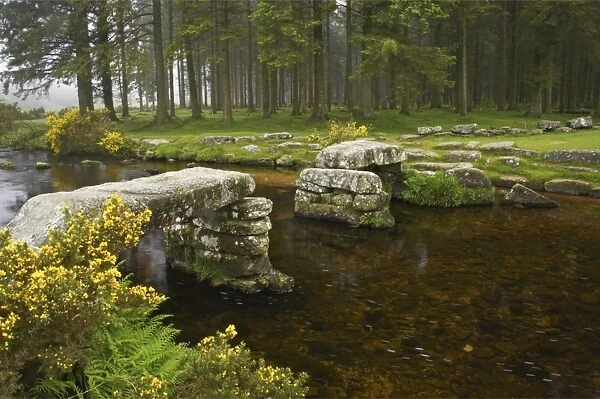 East Dart River Dartmoor National Park, Devon, UK LA000359