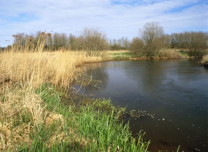 Framed Print : East Stoke Fen - & river Frome - South Dorset UK Framed Print : East Stoke Fen - & river Frome - South Dorset UK