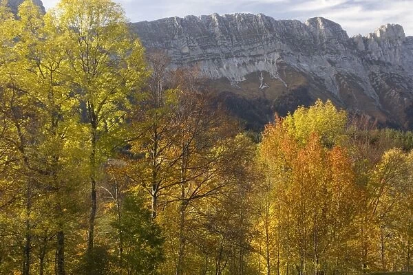 The eastern scarp of the Vercors Mountains in autumn, near Gresse-en-Vercors