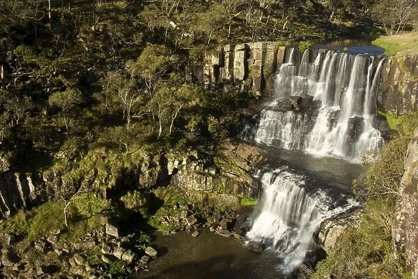 Ebor Falls - upper section of this stunning waterfall which finally plunges into a hugh pool, surrounded by sheer cliffs. The surrounding vegetation is mostly eucalypt forest - Guy Fawkes River National Park, New South Wales, Australia