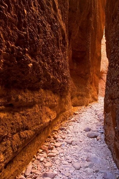 Echidna Chasm - a very narrow, enchanting slot canyon which is partly only one metre wide. When the sun is high, it reflects on the walls and creates varying colour hues from nearly white to yellow to dark red - Bungle Bungle National Park