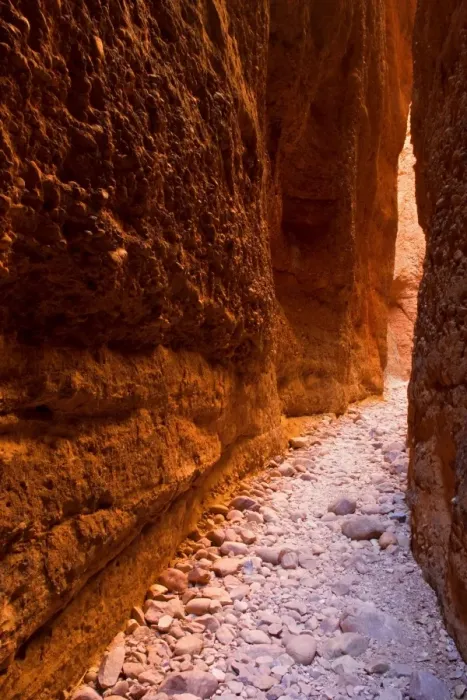 Framed Print : Echidna Chasm - a very narrow, enchanting slot canyon which is partly only one metre wide. When the sun is high, it reflects on the walls and creates varying colour hues from nearly white to yellow to dark red - Bungle Bungle National Park Framed Print : Echidna Chasm - a very narrow, enchanting slot canyon which is partly only one metre wide. When the sun is high, it reflects on the walls and creates varying colour hues from nearly white to yellow to dark red - Bungle Bungle National Park