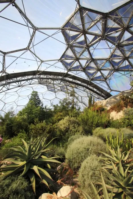 Framed Print : Eden Project - inside Mediterranean Biome, Bodelva, St Austell, Cornwall Framed Print : Eden Project - inside Mediterranean Biome, Bodelva, St Austell, Cornwall