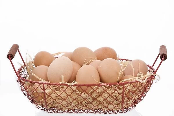 Eggs - basket of eggs in studio