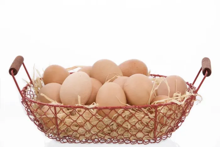 Framed Print : Eggs - basket of eggs in studio Framed Print : Eggs - basket of eggs in studio
