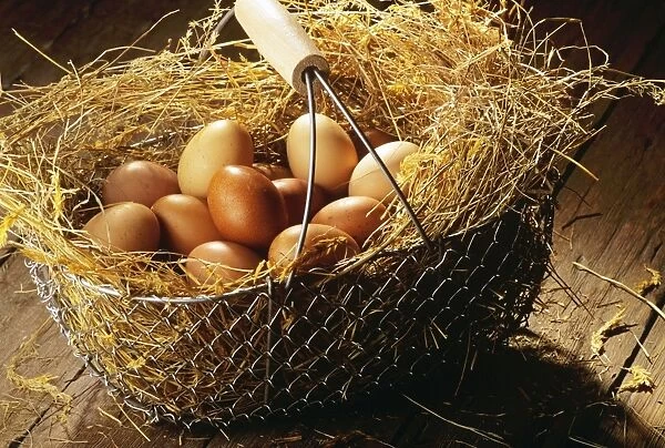 Eggs in basket JLR03466