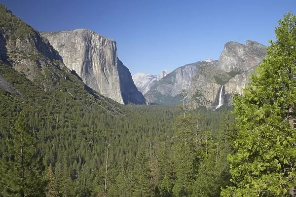 El Capitan in Yosemite Valley Yosemite National Park California, USA LA000573