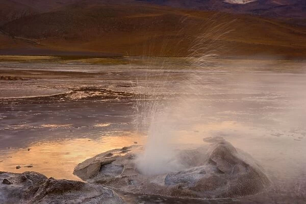 El Tatio Geysers - geothermal field of hot springs and geysers which is located at over 4200 m above sea level - at sunrise - Altiplano Atacama Desert - Chile - South America