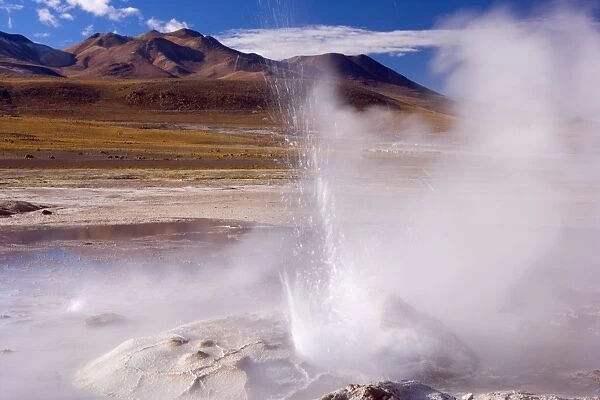 El Tatio Geysers - geothermal field of hot springs and geysers which is located at over 4200 m above sea level - in the morning - Altiplano Atacama Desert - Chile - South America
