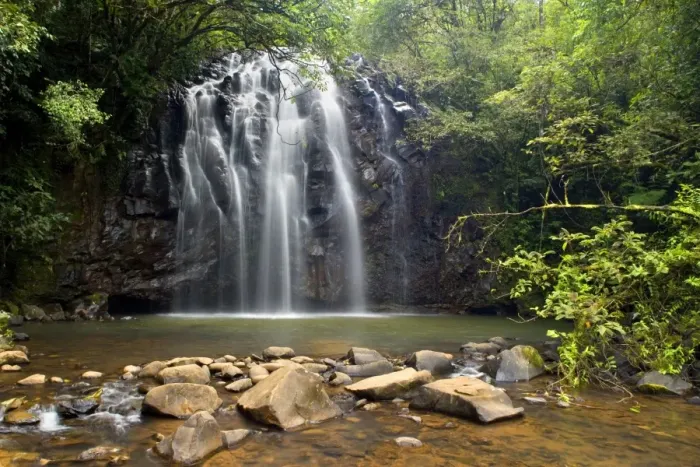 Framed Print : Elinjaa Falls - idyllic waterfall plunges into a pool in lush tropical rainforest. This is one of the three famous waterfalls along the so called waterfall circuit which connects Elinjaa, Zillie and Millaa Millaa Falls - Atherton Tablelands
