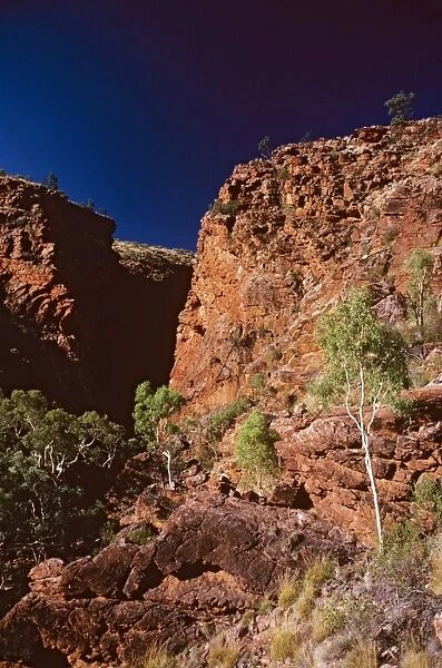 Ellery Gorge West MacDonnell National Park, Northern Territory, Australia JLR00411