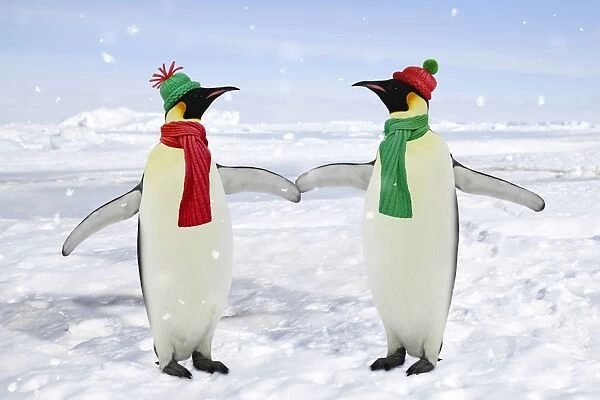 Emperor Penguin - pair holding hands - Antarctic Pennisular Digital Manipulation: background WAT-13680 - Penguins WAT-11362 - added hats & scarves SU - falling snow