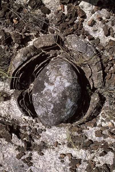 Eroded granite near Mount Roraima, Gran Sabana, Estado Bolivar, Venezuela, South America