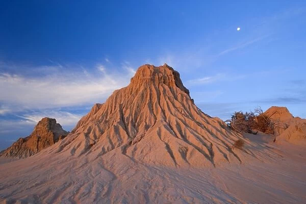 Eroded pinnacles - last evening sunrays on amazingly shaped, eroded pinnacles of the lunette Walls of China, located within the since 18000 years dried-up lakebed of Lake Mungo