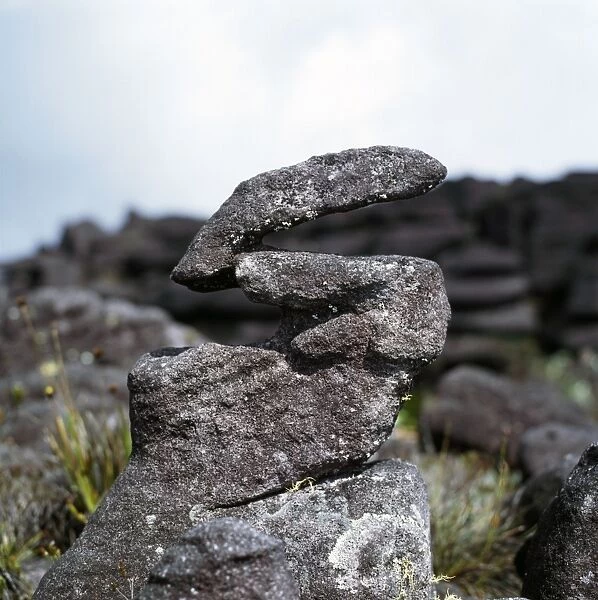 Eroded sandstone rockshape on summit of Mount Kukenaam (Kukenan, Kukenan, Cuguenan), Estado Bolivar, Venezuela, South America
