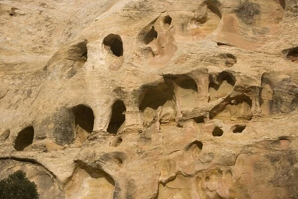 Erosion holes in sandstone cliff, used by Fremont indians for storage in medieval times. Capitol Reef National Park