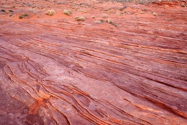 Escalante cross-bedding - intricately overlapping layers of red sandstone in the desert - Grand Staircase Escalante National Monument, Utah, USA