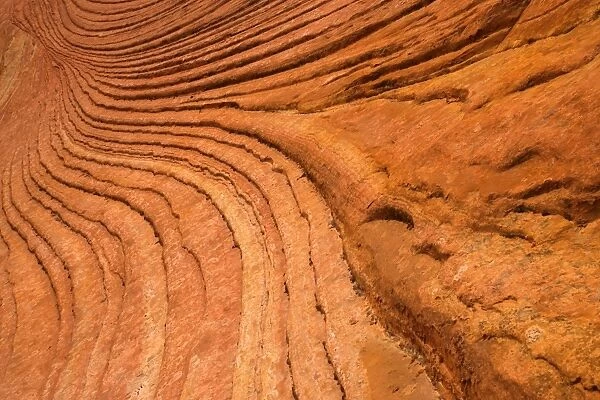 Escalante cross-bedding - intricately overlapping layers of red sandstone create an amazing wave-like pattern - Grand Staircase Escalante National Monument, Utah, USA