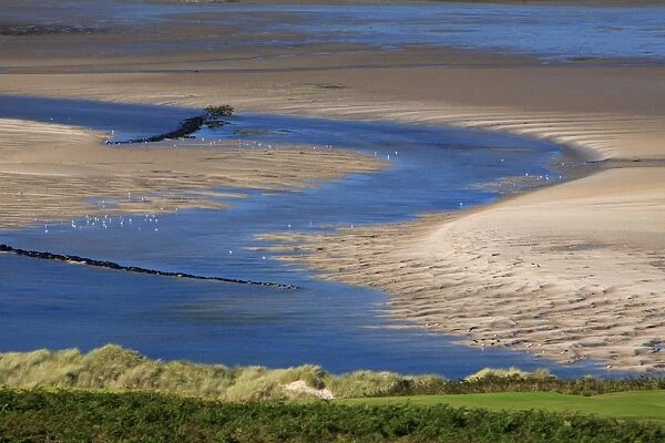 Estuary Channel - at low tide, Budle Bay wildfowl reserve, Northumberland National Park, England