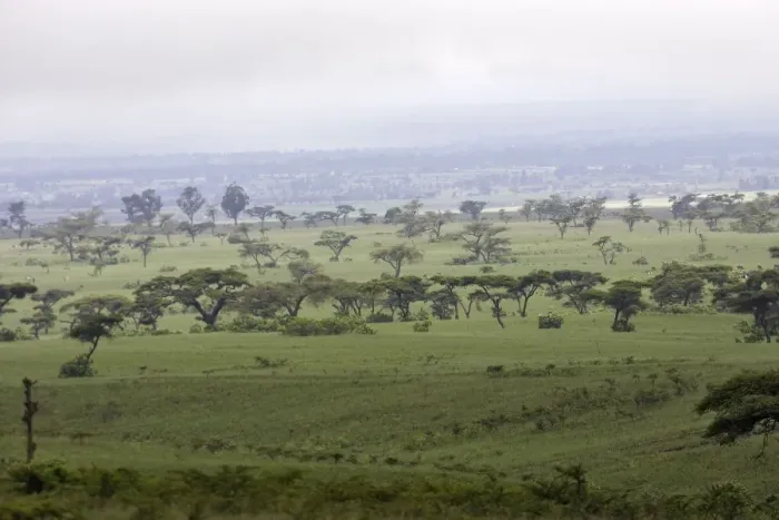 Framed Print : Ethiopia - Acacias and Savane trees in the region of Yabelo. Southern Ethiopia Framed Print : Ethiopia - Acacias and Savane trees in the region of Yabelo. Southern Ethiopia
