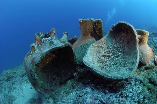 Etruscan Amphora in a protected archaeological area on the sea bed in Antalya, Turkey. Mediterranean Sea. The amphora will remain on the sea bed