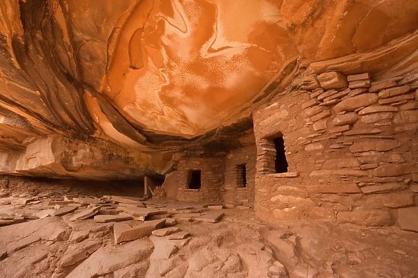 Fallen Roof Ruin - ancient puebluan dwelling built into an alcove perched more than 100 feet above the floor of Road Canyon - Road Canyon - Cedar Mesa - Utah - USA