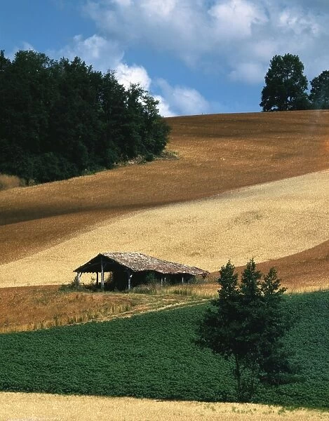 Farming - crops and hut. Lot-et-Garonne - France