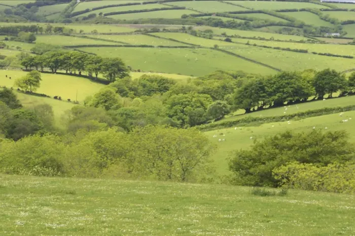 Framed Print : Farmland and Wooded Valley Exmoor National Park, Somerset, UK LA000392 Framed Print : Farmland and Wooded Valley Exmoor National Park, Somerset, UK LA000392