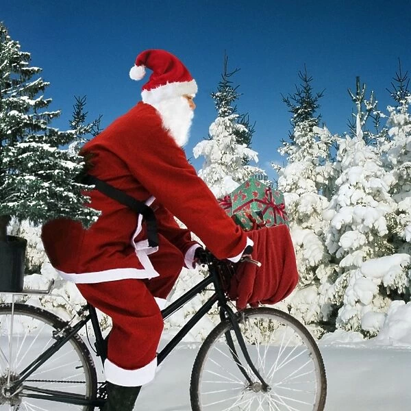 Father Christmas - on bicycle cycling past Fir Trees covered in snow Digital Manipulation: Father Christmas & presents SU - Tree ME