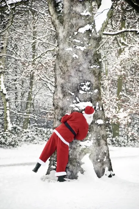 Framed Print : Father Christmas - in snow - behind tree Framed Print : Father Christmas - in snow - behind tree
