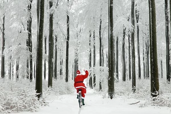 Father Christmas waving and cycling through woodland