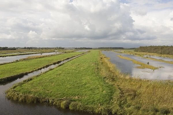Fenland Remains of the era of peat digging, leeves The Netherlands, Overijssel, Nature reserve ´De Wieden´