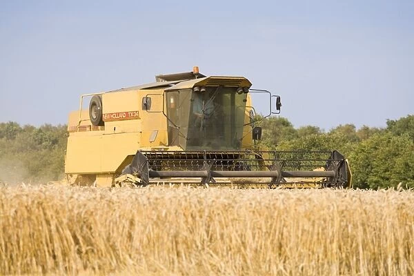 FEU-826. Farming - Combine Harvester - Wheat harvest. Norfolk - UK. Geoff du Feu