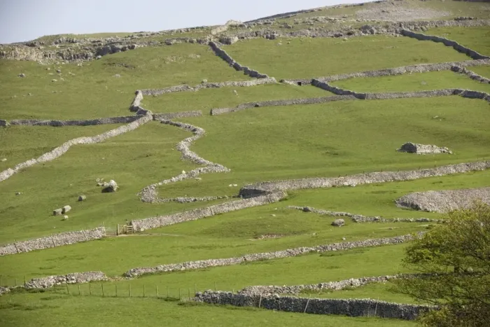Framed Print : Field patterns of different ages at Malham, Yorkshire Dales. National Park Framed Print : Field patterns of different ages at Malham, Yorkshire Dales. National Park