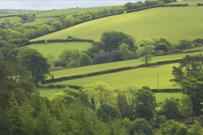 Framed Print : Fields around Malmsmead Exmoor National Park, Somerset UK LA000375 Framed Print : Fields around Malmsmead Exmoor National Park, Somerset UK LA000375