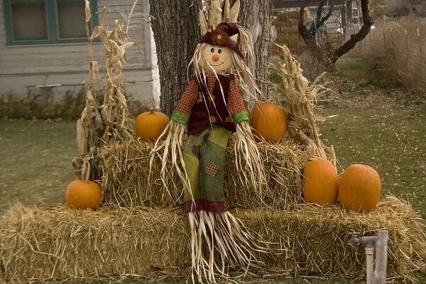 Figure and pumpkins, set up to commemorate Hallowe'en. Cannonville, Utah