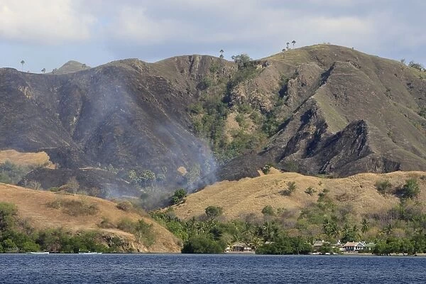 Fire - bush fire on Flores Island - Indonesia