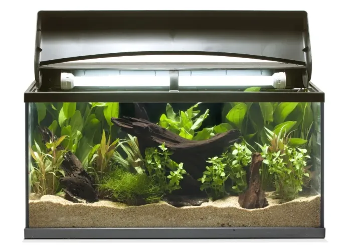 Framed Print : Fish tank - in studio Framed Print : Fish tank - in studio