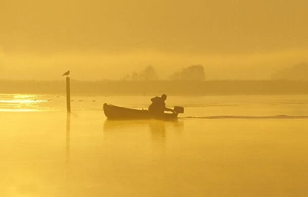 Fisherman in boat At dawn on Hickling Broad Norfolk UK