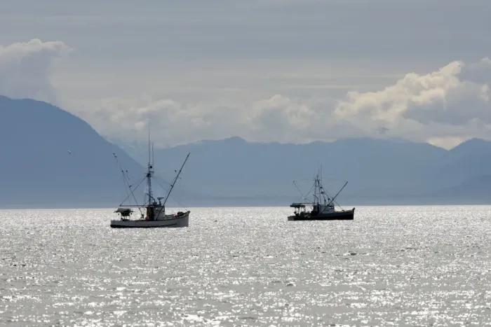 Framed Print : Fishing - for king salmon - Frederick Sound - Inside Passage - Alaska Framed Print : Fishing - for king salmon - Frederick Sound - Inside Passage - Alaska