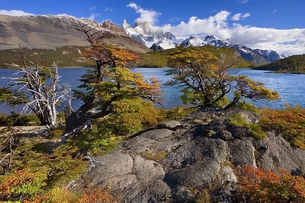 Fitz Roy Massif - mountain scenery including Cerro Fitz Roy and Laguna Capri in autumn - Los Glaciares National Park - Patagonia - Argentina - South America
