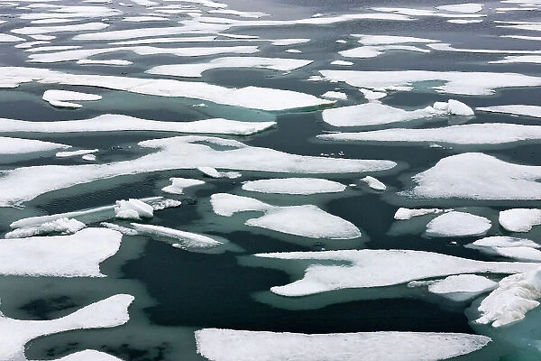 Floating ice in Chukchi Sea, Russian Far East Date: 29-07-2012