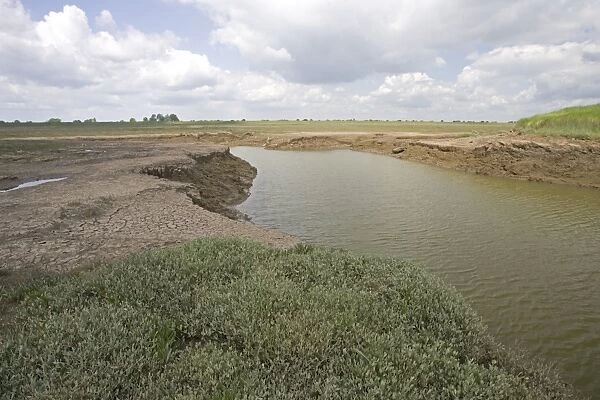 Flood channel to man-made salt marsh Freiston Shore Lincolnshire UK