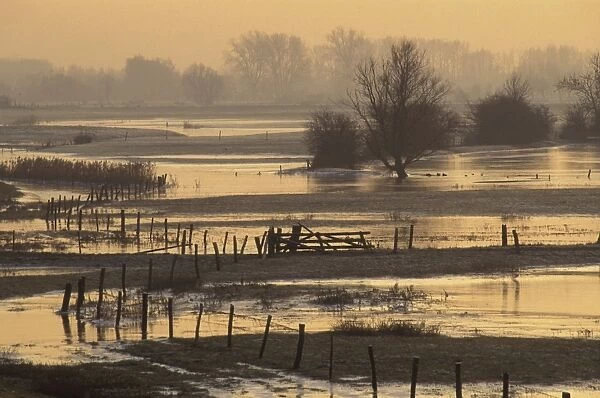 Flooded forelands The river IJssel at sunset during winter Overijssel, The Netherlands