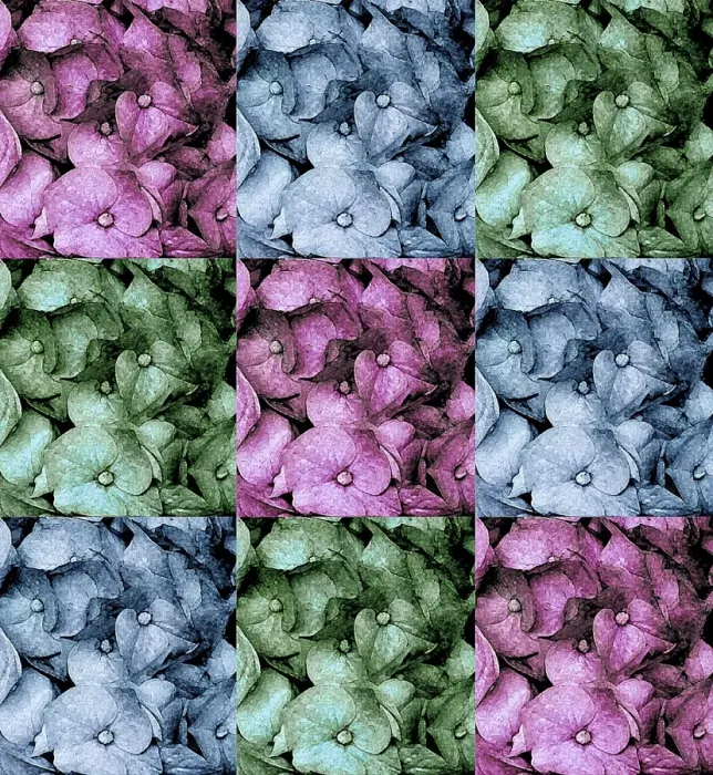 Framed Print : Flowers - abstract