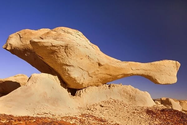Flying Turtle - wonderful, whimsical eroded clay sculpture in the shape of a flying turtle, located amidst badlands - Bisti Badlands Wilderness Area, New Mexico, USA